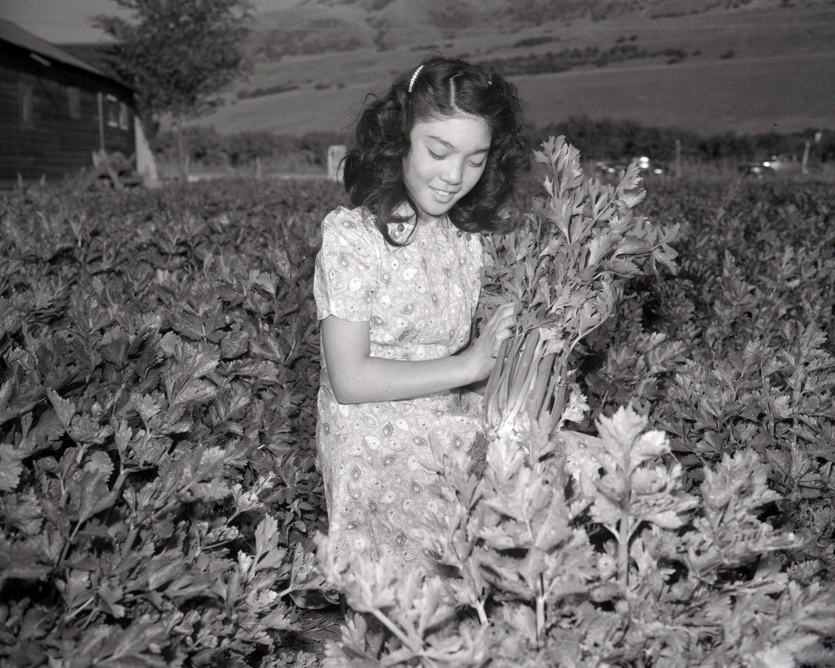 Rose Fujikawa shows off her family's family crop