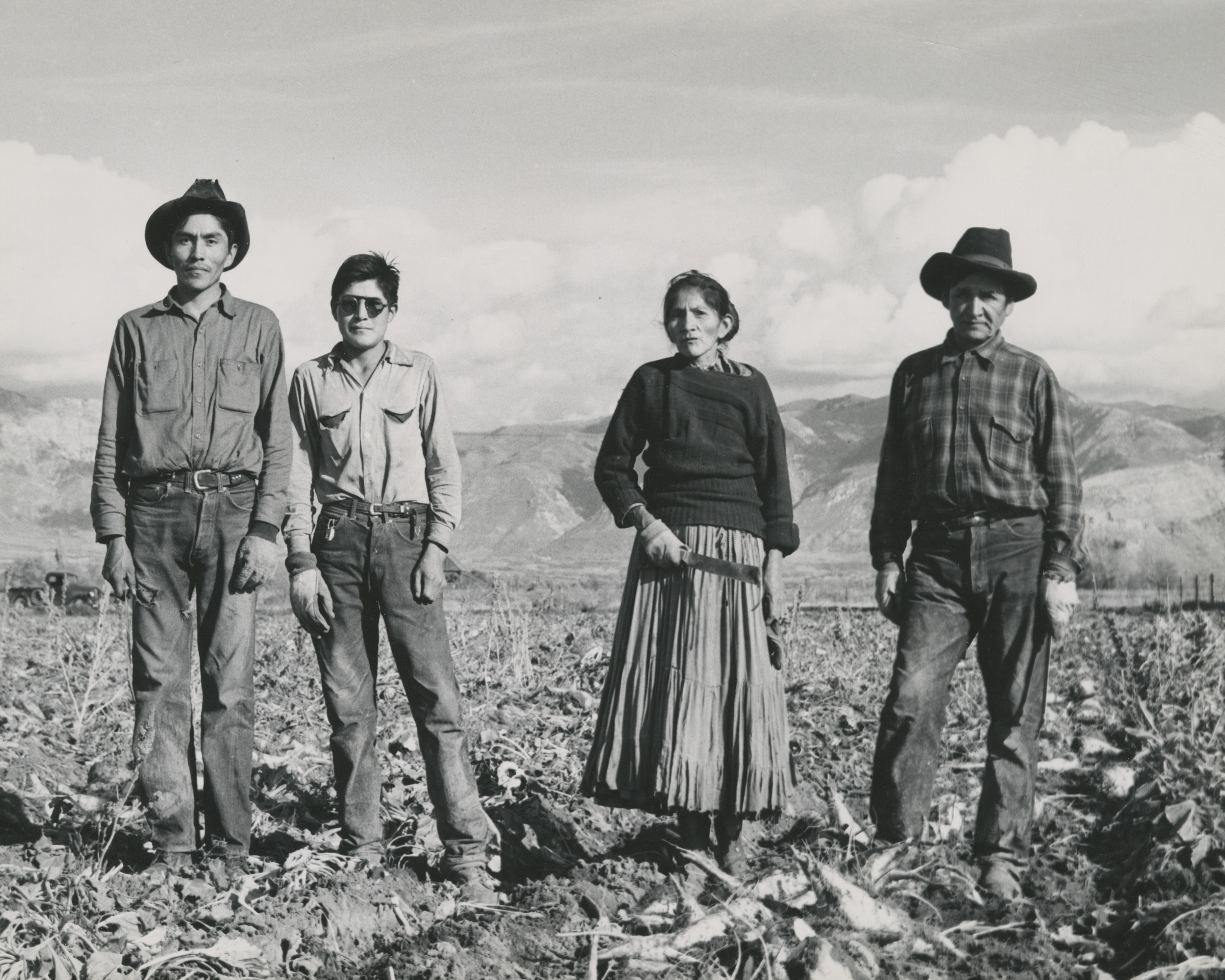 Migrant workers harvesting the fields